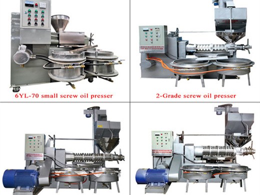 Máquina automática de prensa de aceite de linaza de soja negra grande en Perú