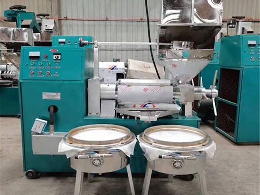 Aceite hidráulico de la máquina de prensado de aceite a precio de fábrica de Ecuador