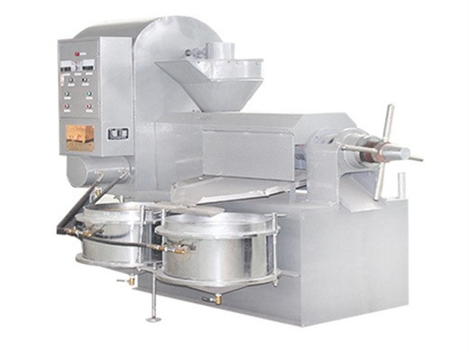 China industrial completamente automático proceso completo de máquina de prensa de aceite de maní
