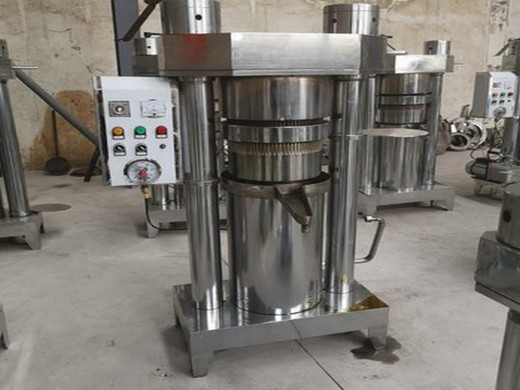 Máquina automática de prensado de aceite de almendras de acero inoxidable semillas de nueces