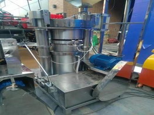 Máquina de prensa de aceite de coco oliva sésamo eléctrica grande fría comercial