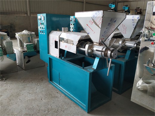 2024 gran oferta en máquina de prensa de aceite de almendras de china