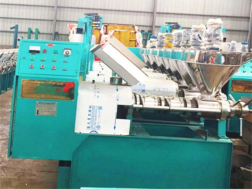 Máquina prensadora de aceite de linaza de alta calidad – zatural en venta en Nicaragua