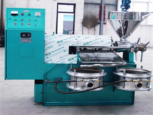 Máquina de prensado de aceite de sacha inchi extracción de aceite hidráulico en Argentina