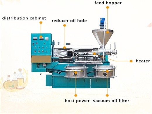 Máquina automática comercial de prensado de aceite para nueces en Paraguay