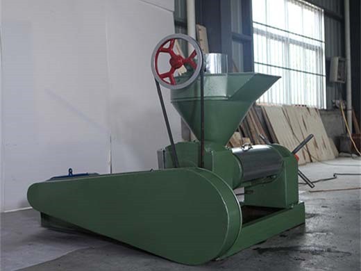 Máquina de prensa de aceite de coco Senegal extracción de aceite de copra