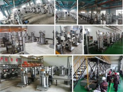 Máquina prensadora de aceite de sésamo y semillas de cáñamo en Costa Rica – alta calidad