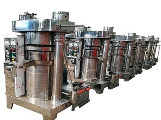 Ya está lista una máquina prensadora de aceite de girasol prensado en frío desde Paraguay