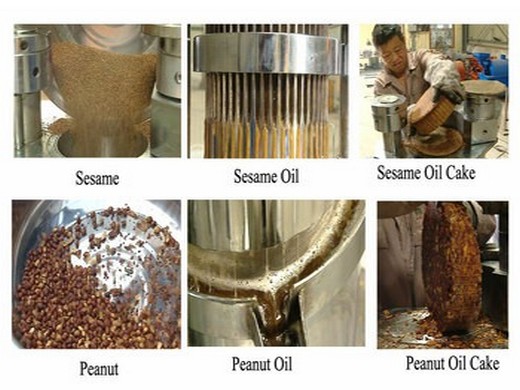 Expeller de aceite de tornillo de semilla de maní comercial de El Salvador