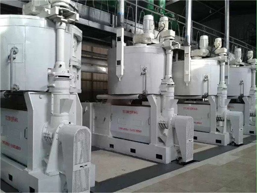 China 2024 nueva máquina de prensa de aceite hidráulico mantequilla de girasol