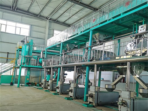 Máquina prensadora de aceite de nuez para extracción de aceite de semilla de uva en Perú