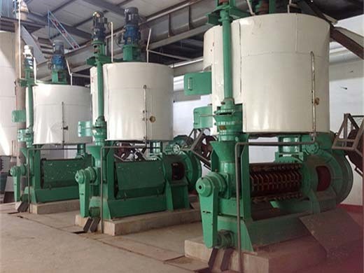 Máquina automática de prensa de aceite de coco desecado en Paraguay