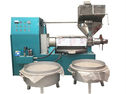 Máquina prensadora de aceite de girasol Máquina prensadora de aceite de girasol en México