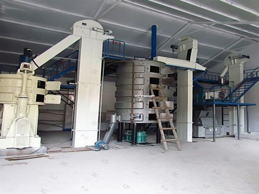 Línea de producción de prensa de aceite de coco centrífuga 1 – 5 hp en Nicaragua