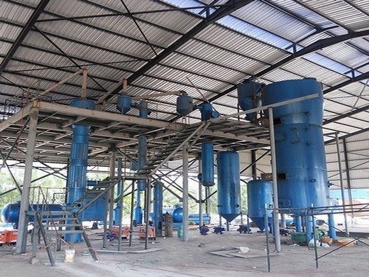 Prensa de aceite de girasol de línea de producción completa de 100 tpd en Costa Rica