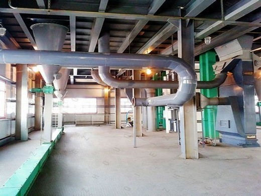 Proveedor de planta automática de extracción de aceite de prensa en frío en México