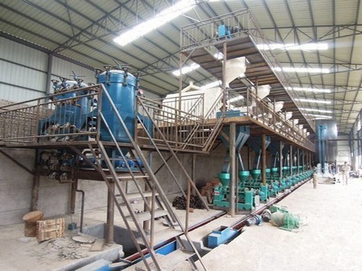 Línea de producción de prensa de aceite de coco orgánico usda en Argentina