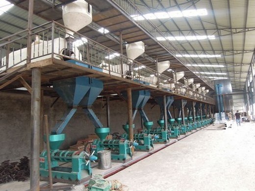 Proceso de trabajo de la planta procesadora de aceite de girasol de El Salvador 3d