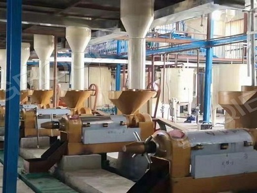 Línea de producción de máquina de molino de aceite de germen de maíz prensa de aceite a la venta