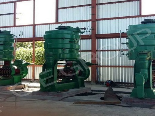 Planta comercial máquina prensadora de aceite de extracción de aceite de maní en Nicaragua