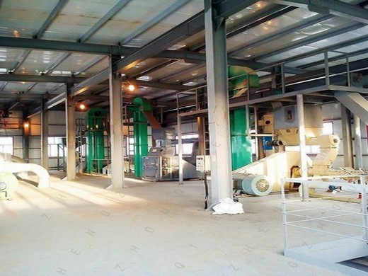 Línea de producción de prensa de aceite de coco crudo orgánico biona 800 g en Argentina