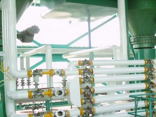 Línea de producción de aceite de ricino kazima – 100% puro en Costa Rica