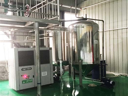 Máquina comercial de refinación de aceite de mostaza y colza cruda en Ecuador
